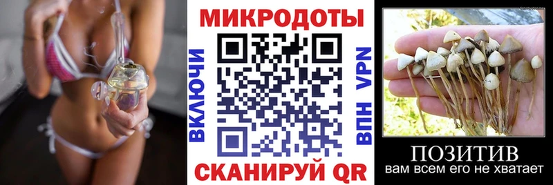 наркотики  Краснокаменск  Псилоцибиновые грибы MAGIC MUSHROOMS 
