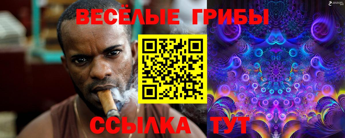 Псилоцибиновые грибы мицелий  Вход с VPN  Краснокаменск 